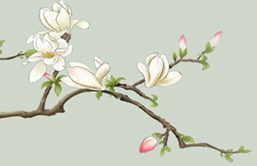 車牌數字相加和的吉數 最旺車牌數字型大小碼