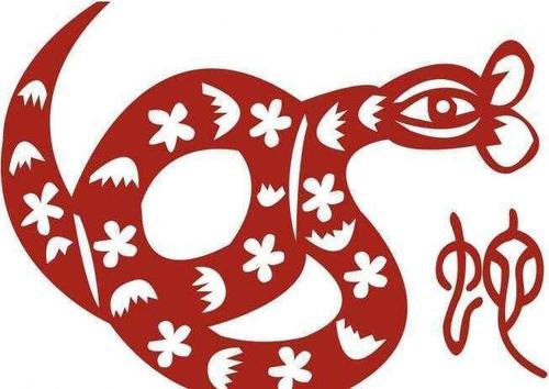 養蛇有什麼風水說法 家裡養蛇對風水好嗎